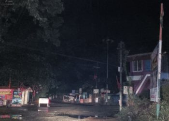 പല്ലാവൂർ ഇരുട്ടിൽ…., തെരുവുനായ്ക്കളുടെ ശല്യം ഭീതിയോടെ യാത്രക്കാരും, നാട്ടുകാരും.