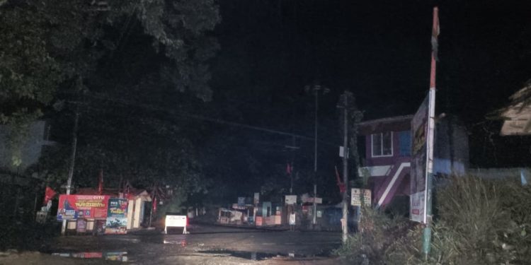 പല്ലാവൂർ ഇരുട്ടിൽ…., തെരുവുനായ്ക്കളുടെ ശല്യം ഭീതിയോടെ യാത്രക്കാരും, നാട്ടുകാരും.