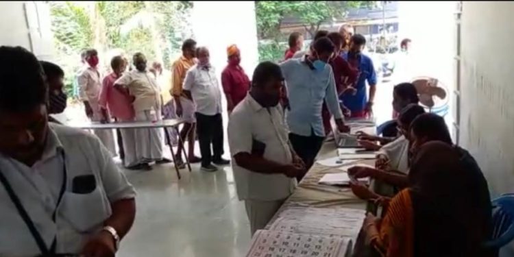 വഴിയോര കച്ചവട സമിതിയിലേക്ക് വോട്ടെടുപ്പ് ഇന്ന്.