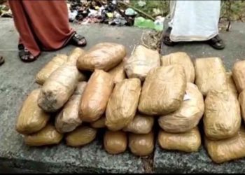 വാളയാര്‍ ചെക്ക് പോസ്റ്റില്‍ വന്‍ കഞ്ചാവ് വേട്ട; ബസില്‍ 80 കിലോ കഞ്ചാവ്,