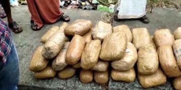 വാളയാര്‍ ചെക്ക് പോസ്റ്റില്‍ വന്‍ കഞ്ചാവ് വേട്ട; ബസില്‍ 80 കിലോ കഞ്ചാവ്,