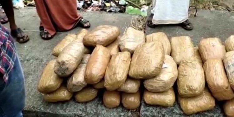 വാളയാര്‍ ചെക്ക് പോസ്റ്റില്‍ വന്‍ കഞ്ചാവ് വേട്ട; ബസില്‍ 80 കിലോ കഞ്ചാവ്,