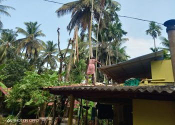 കനത്ത മഴ : കാർഷിക മേഖലയിൽ വൻ നാശനഷ്ടം