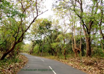 കൊച്ചി ബാംഗ്ലൂർ വ്യാസായിക ഇടനാഴിയ്ക്കായി  298 ഏക്കർ ഭൂമി ഏറ്റെടുത്തു