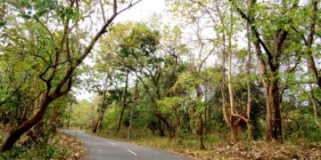കൊച്ചി ബാംഗ്ലൂർ വ്യാസായിക ഇടനാഴിയ്ക്കായി  298 ഏക്കർ ഭൂമി ഏറ്റെടുത്തു