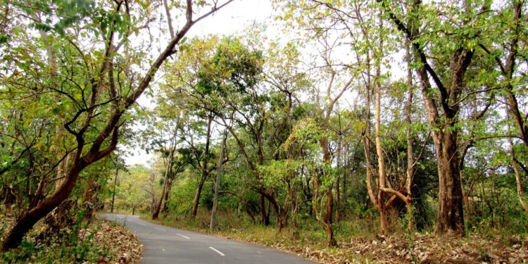 കൊച്ചി ബാംഗ്ലൂർ വ്യാസായിക ഇടനാഴിയ്ക്കായി  298 ഏക്കർ ഭൂമി ഏറ്റെടുത്തു