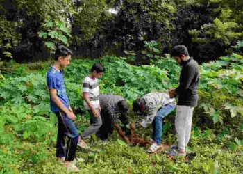 സോളിഡാരിറ്റി, എസ് ഐ ഒ എടത്തറ യൂണിറ്റുകൾ സംയുക്തമായി അഞ്ചാം മൈലിൽ പരിസ്ഥിതി ദിനം ആചരിച്ചു