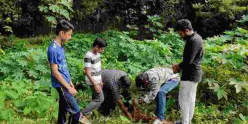 സോളിഡാരിറ്റി, എസ് ഐ ഒ എടത്തറ യൂണിറ്റുകൾ സംയുക്തമായി അഞ്ചാം മൈലിൽ പരിസ്ഥിതി ദിനം ആചരിച്ചു