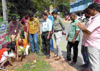 പരിസ്ഥിതി ദിനം ആചരിച്ചു.