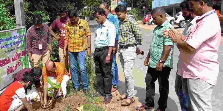 പരിസ്ഥിതി ദിനം ആചരിച്ചു.
