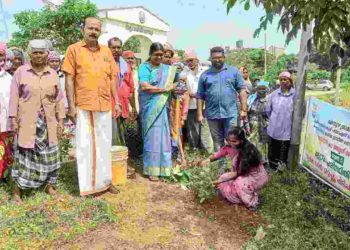 ലോക പരിസ്ഥിതി ദിനാചരണത്തിൽ തൊഴിലുറപ്പ് പ്രവർത്തകരും