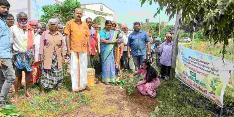ലോക പരിസ്ഥിതി ദിനാചരണത്തിൽ തൊഴിലുറപ്പ് പ്രവർത്തകരും