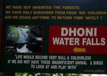 ധോണി വെള്ളച്ചാട്ടത്തിൽ വീണ യുവാവിനെ കാണാതായി.