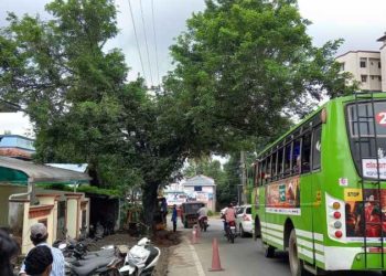 വീടിനും വാഹനങ്ങൾക്കും ഭീക്ഷണിയായി വഴിയോരത്തെ മരം.