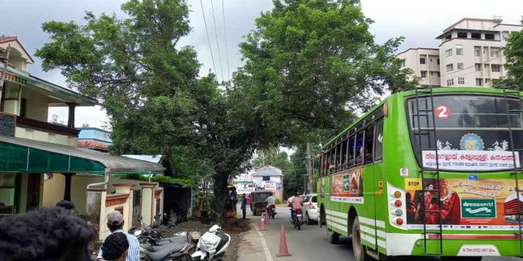 വീടിനും വാഹനങ്ങൾക്കും ഭീക്ഷണിയായി വഴിയോരത്തെ മരം.