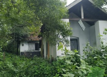 വനം വകുപ്പിന്റെ കെട്ടിടങ്ങൾ പരിചരണമില്ലാതെ നശിക്കുന്നു