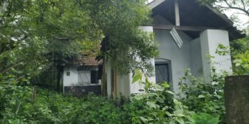 വനം വകുപ്പിന്റെ കെട്ടിടങ്ങൾ പരിചരണമില്ലാതെ നശിക്കുന്നു