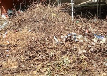 പാലക്കാട് സിവിൽ സ്റ്റേഷനിൽ മാലിന്യകൂമ്പാരം.