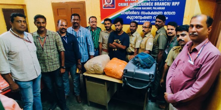 ഇരുപതു കിലോ കഞ്ചാവുമായി യുവാവ് പിടിയിൽ