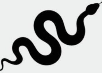 ക്ലാസ് മുറിയില്‍ വിദ്യാർത്ഥിയുടെ ശരീരത്തിലൂടെ പാമ്പ് കയറിയിറങ്ങി