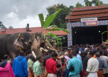 ആനയൂട്ട് നടത്തി.