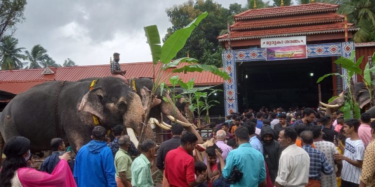 ആനയൂട്ട് നടത്തി.
