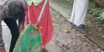 കാൽ നടയാത്രക്കാർക്ക് പേപ്പട്ടിയുടെ കടിയേറ്റു