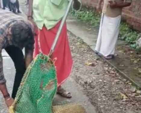 കാൽ നടയാത്രക്കാർക്ക് പേപ്പട്ടിയുടെ കടിയേറ്റു