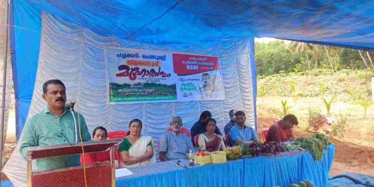 കെ ജി ഓ എഫ് കൃഷി സംസ്ഥാന വിളവെടുപ്പ് മഹോത്സവം സംഘടിപ്പിച്ചു