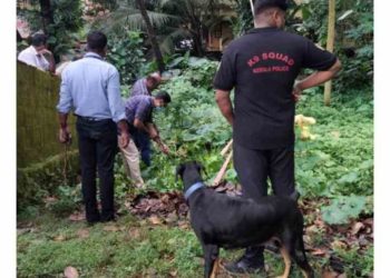 പാലപ്പുറത്തെ പൊട്ടിത്തെറി: പന്നിപ്പടക്കമെന്ന് സ്ഥിരീകരണം