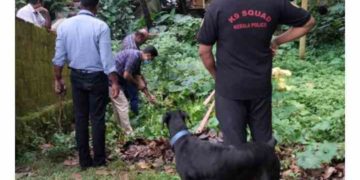 പാലപ്പുറത്തെ പൊട്ടിത്തെറി: പന്നിപ്പടക്കമെന്ന് സ്ഥിരീകരണം