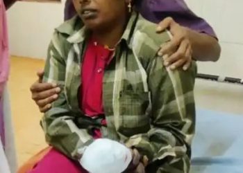 പുല്ലുവെട്ടുന്നതിനിടെ സ്ഫോടനം; തൊഴിലുറപ്പ് തൊഴിലാളിക്ക് പരിക്ക്