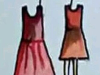 വാളയാർ : പ്രതികൾക്ക് ഉപാധികളോടെ ജാമ്യം