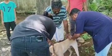 പേവിഷമുക്ത പുതുശ്ശേരി