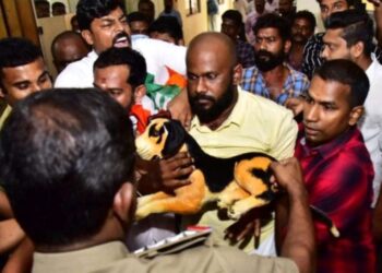 നായയുടെ രൂപം കളക്ടർക്ക് സമർപ്പിച്ച് യൂത്ത് കോൺഗ്രസ് പ്രതിഷേധം