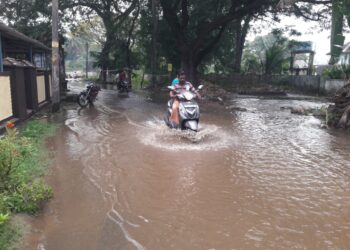 ചുള്ളിയാർ, മീങ്കര ഡാമുകളുടെ കനാലുകളിൽ മാലിന്യം