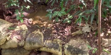 മലമ്പുഴയിലെത്തുന്ന വിനോദ സഞ്ചാരികളെ കാത്തിരിക്കുന്നത് മാലിന്യ ദുർഗന്ധം