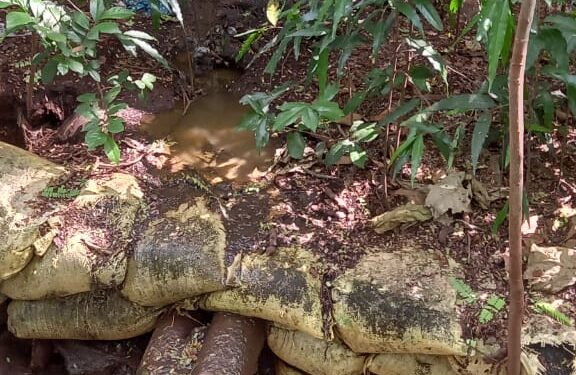 മലമ്പുഴയിലെത്തുന്ന വിനോദ സഞ്ചാരികളെ കാത്തിരിക്കുന്നത് മാലിന്യ ദുർഗന്ധം