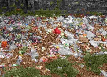 മലമ്പുഴയിൽ മാലിന്യകൂമ്പാരങ്ങൾ: പ്ലാസ്റ്റിക്ക് മാലിന്യങ്ങൾകത്തിച്ച് വിഷവുക പരത്തുന്നു.