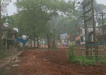 റോഡ് പണിക്ക് വിലങ്ങുതടിയായി മരങ്ങളും പോസ്റ്റുകളും; ഉമ്മനഴിയിൽ പ്രവൃത്തി നിർത്തിവെച്ചു