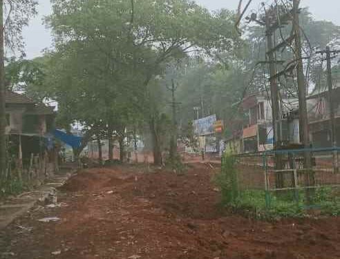 റോഡ് പണിക്ക് വിലങ്ങുതടിയായി മരങ്ങളും പോസ്റ്റുകളും; ഉമ്മനഴിയിൽ പ്രവൃത്തി നിർത്തിവെച്ചു