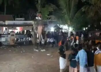 പാടൂര്‍ വേലയ്ക്ക്  തെച്ചിക്കോട്ട് രാമചന്ദ്രൻ ഇടഞ്ഞു