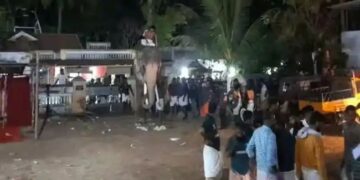 പാടൂര്‍ വേലയ്ക്ക്  തെച്ചിക്കോട്ട് രാമചന്ദ്രൻ ഇടഞ്ഞു