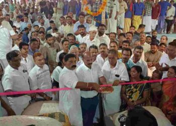 ചാലിശേരി അടക്ക ചന്തയിൽ 350 ടൺ അടക്ക കച്ചവടമായി