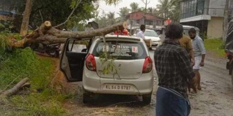 കാറിന് മുകളിലേക്ക് മരം വീണു; അപകടം ഒഴിവായത് തലനാരിഴയ്ക്ക് 