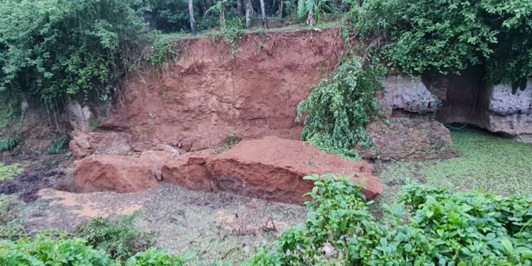 ബജറ്റിലെ പ്രഖ്യാപനം തളളിലൊതുങ്ങി; കപ്പൂരിലെ ചിറക്കുളം നശിക്കുന്നു