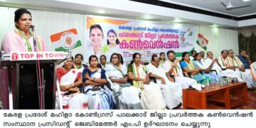 സംസ്ഥാനത്തെ  എല്ലാ അഴിമതികളുടെയും  കാരണഭുതൻ മുഖ്യമന്ത്രി പിണറായി വിജയനാണെന്ന് മഹിള കോൺഗ്രസ്