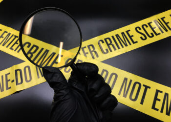 അയര്‍ലണ്ടിൽ പാലക്കാട് സ്വദേശിനി  കുത്തേറ്റുമരിച്ചു