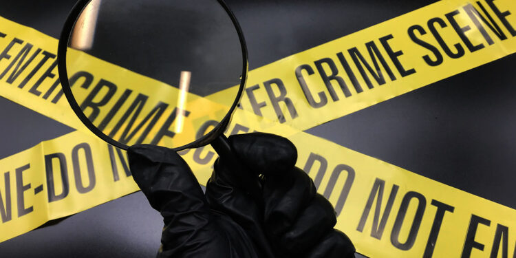 അയര്‍ലണ്ടിൽ പാലക്കാട് സ്വദേശിനി  കുത്തേറ്റുമരിച്ചു