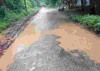 മലമ്പുഴയിലെ റോഡ് ചെളിക്കുളമായി